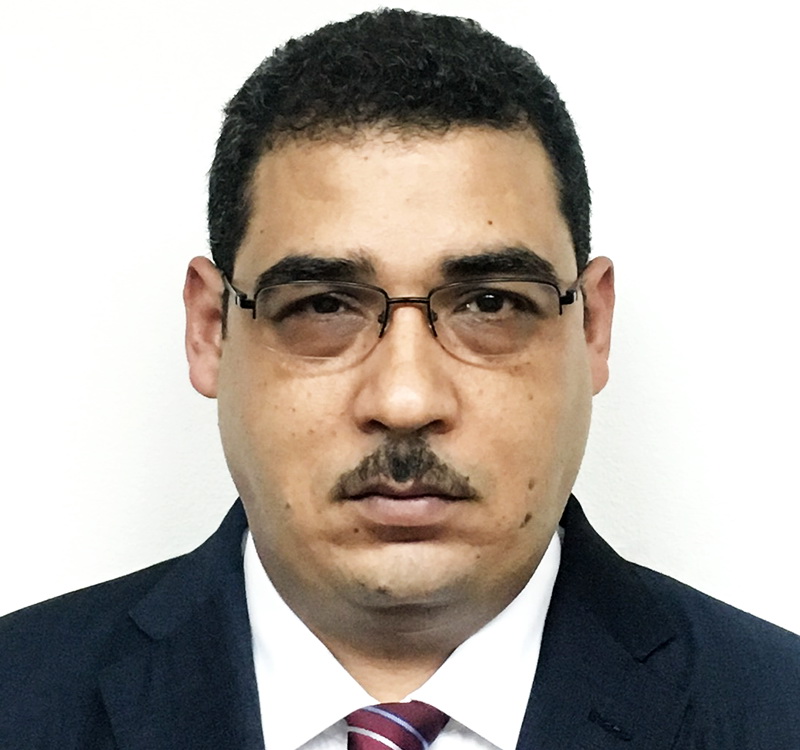 Mr. Gamal El Kassed